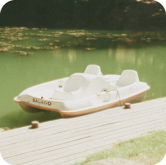 a pedalo